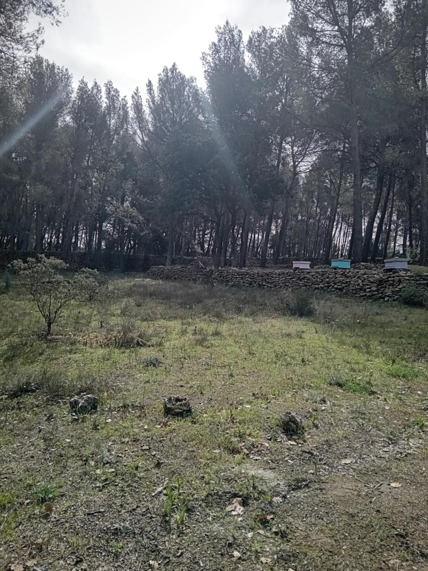 La Maison Du Rouquet Le Beausset Dış mekan fotoğraf