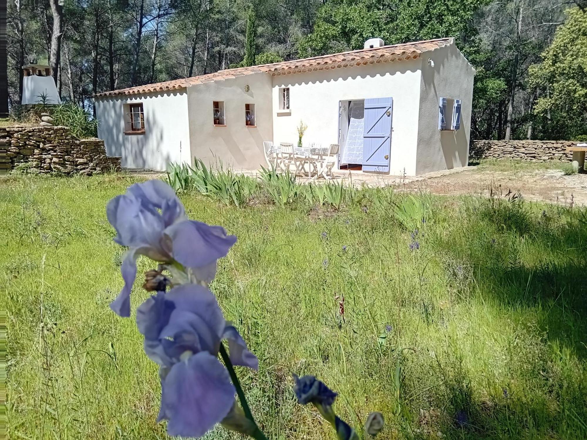 La Maison Du Rouquet Le Beausset Dış mekan fotoğraf